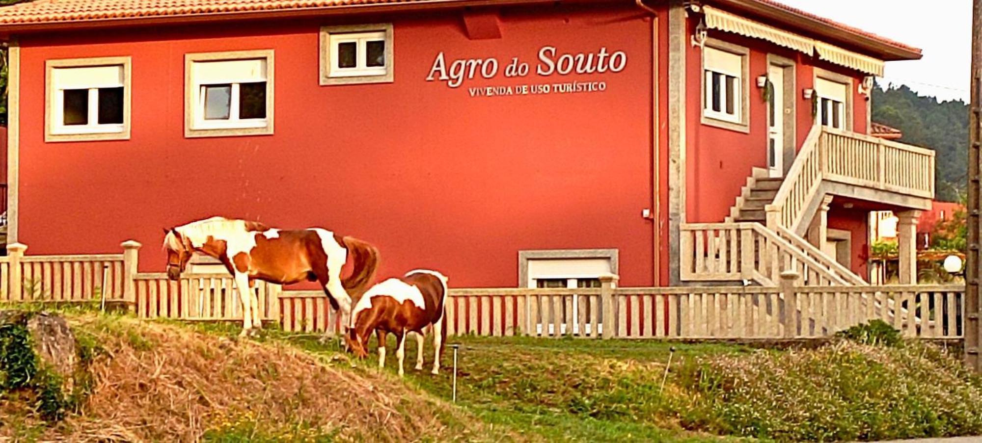 Agro Do Souto, Noia - Villa Completa Extérieur photo